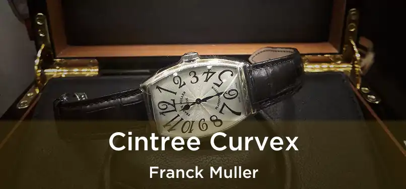  Cintree Curvex Franck Muller